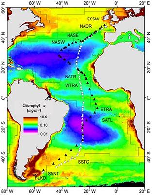 “Dynamics of chromophoric dissolved organic matter in the Atlantic Ocean: unravelling province-dependent relationships, optical complexity, and environmental influences”